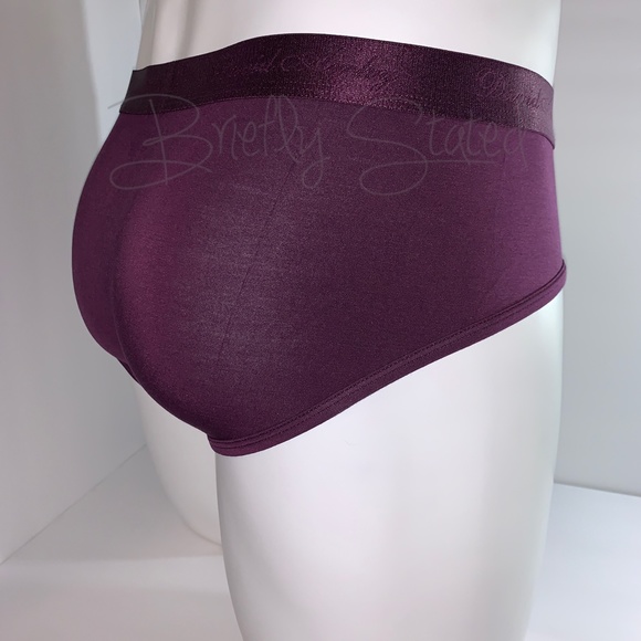 David Archy Micro Modal Briefs - Wine - Picture 3 of 7